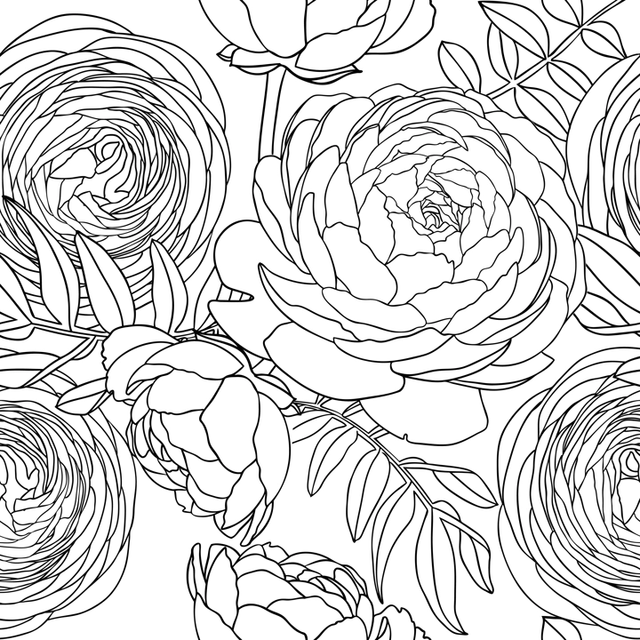 Line art ranunculus background. Abstract and minimalist illustrations with floral outlines. Ranunculus outlines seamless pattern for wall art, prints, wrapping paper, packaging, fabric.